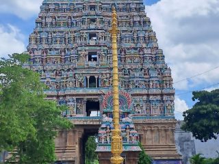 alangudi 5
